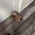 Ferrets 3 thumbnail