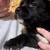 Free puppies 1 thumbnail