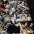 Fantastic Jewelry & Watch Collection Sale!!! 21 thumbnail