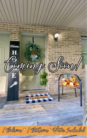 $895.00 / 1br - Charming 1 Bed Apartment in Johnson City | $895/mo | Prime Location63906792616707120