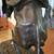 Remington Bronze Bronco Buster Sculpture 4 thumbnail