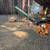 Firewood green fall special 5 thumbnail