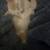 Male Kitten 3 thumbnail