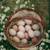 Free range fresh Eggs 1 thumbnail