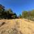 7175 Redwood Retreat Road. 35 Acres Gilroy, dwellings, water system, 18 thumbnail