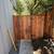 Maintenance and Landscaping services 6 thumbnail