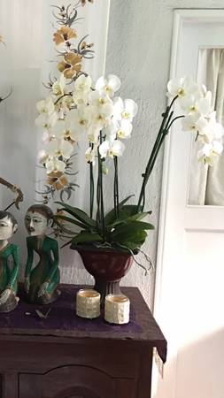 OXBLOOD PEDESTAL PLANTER (PLANTER ONLY) 1