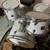 Gretsch Catalina Club Shell Kit 1 thumbnail