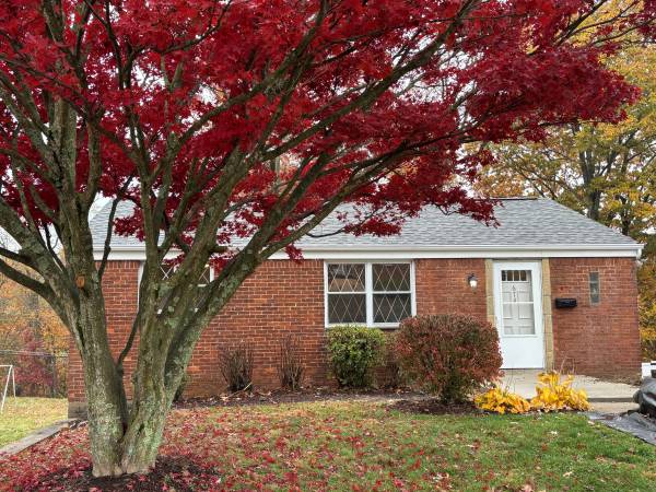 For Rent very nice and clean three-bedroom ranch in Brookline 1