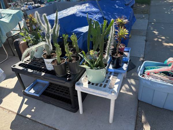 Yard sale photo