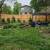 AFFORDABLE & RELIABLE TREE TRIM AND REMOVALS  LICENSED AND INSURED!!! 24 thumbnail