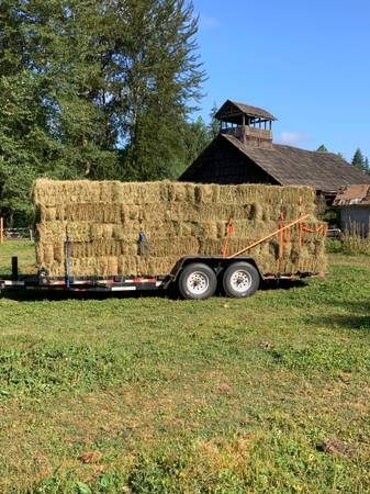 Grass Hay 1