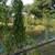 Michael’s Outdoor Services 1 thumbnail