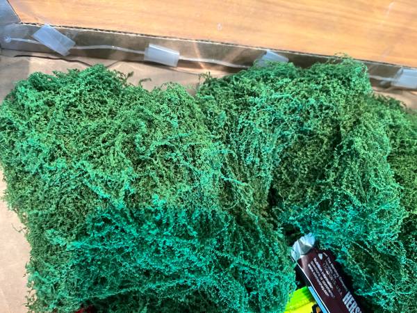 Fake moss 1