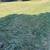Landscaping and maintenance services (SONOMA COUNTY) 5 thumbnail