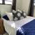 1 Bedroom 1 Bath Apartment on the West End of St. Thomas 7 thumbnail