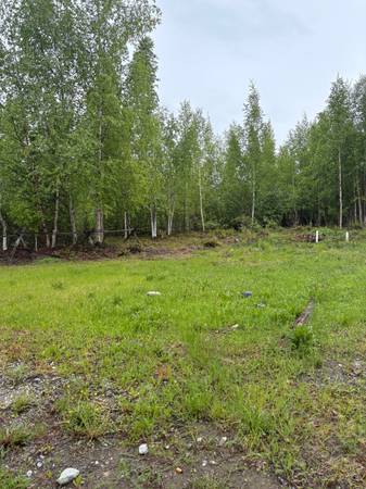 $1,595 / 3br - Beautiful 3 bedroom 1 1/2 bath house on the lake (Big Lake)64014170962819123