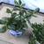 Various jades in 2 Asian ceramic pots 3 thumbnail