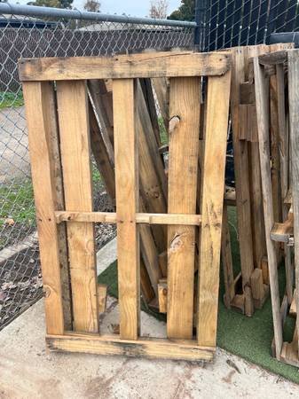 Five Wooden pallets 1