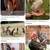 5 month young Serama mini micro pet rooster hen couple 7 thumbnail