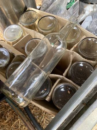 Cleaned wine bottles 1