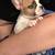 Male French Bulldog 7 weeks old 4 thumbnail