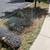 Free wire fencing 1 thumbnail
