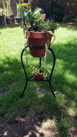 2 Tier Plant Stand With Southwestern Plant and Succulents 1