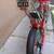 Schwinn bicycle 5 thumbnail
