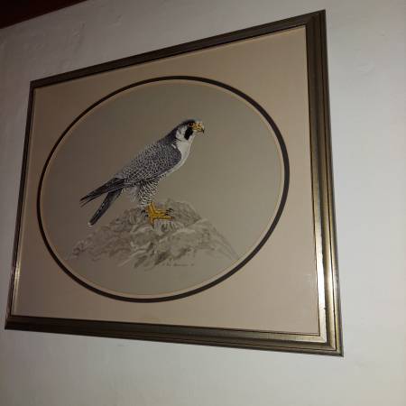 Original Hand Painted Rob Arbogast Falcon Painting 1