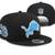 Detroit Lions Gear - chain, beanies, jacket , etc 10 thumbnail