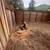 New landscape Removal job design light to med size tree and bush $499 23 thumbnail