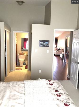 $1,300 1BR in 2BR/2BA apartment63676274968449124