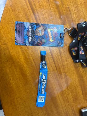 Vans Warped Tour VIP 1