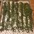 Wedding Decor/Artificial Greenery 1 thumbnail