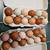 Hatching eggs 3 thumbnail