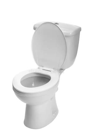 Toilet Installation 1