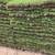 Clems grass yard 16 thumbnail