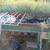 Older conveyor system 3 thumbnail