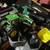 Sat. Tools-Fishing-Outdoor Garden-Friends Suprise Items 4 thumbnail