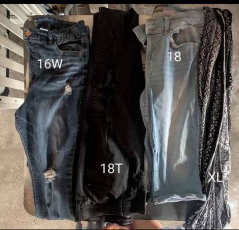 Plus size pants 1