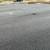 paving & tree services 2 thumbnail