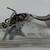 Women's/Men Golden Goose Superstar Hi Star Sneakers 1 thumbnail