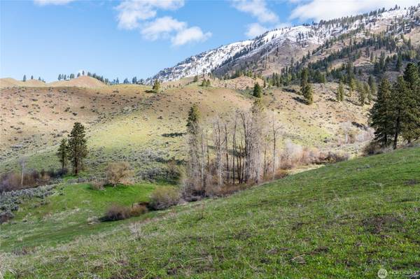 $5,500,000 Más de 900 acres: Star Ranch (Cashmere)63743462613121123