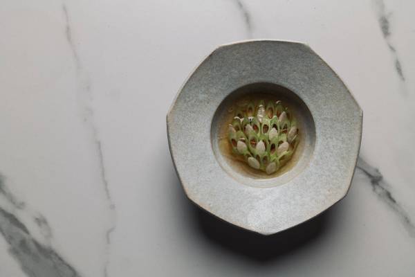 Captain/ CdP Positions 1