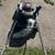 Craftsman Ground Blower 1 thumbnail