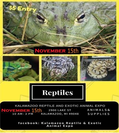 Kalamazoo reptile and Exotic pet expo! 11/15/25 1