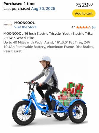ETrike 1