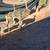 Ostrich chicks 1 thumbnail
