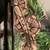 Ball python $225 or best offer 2 thumbnail